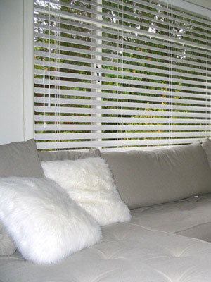 venetian blinds image1